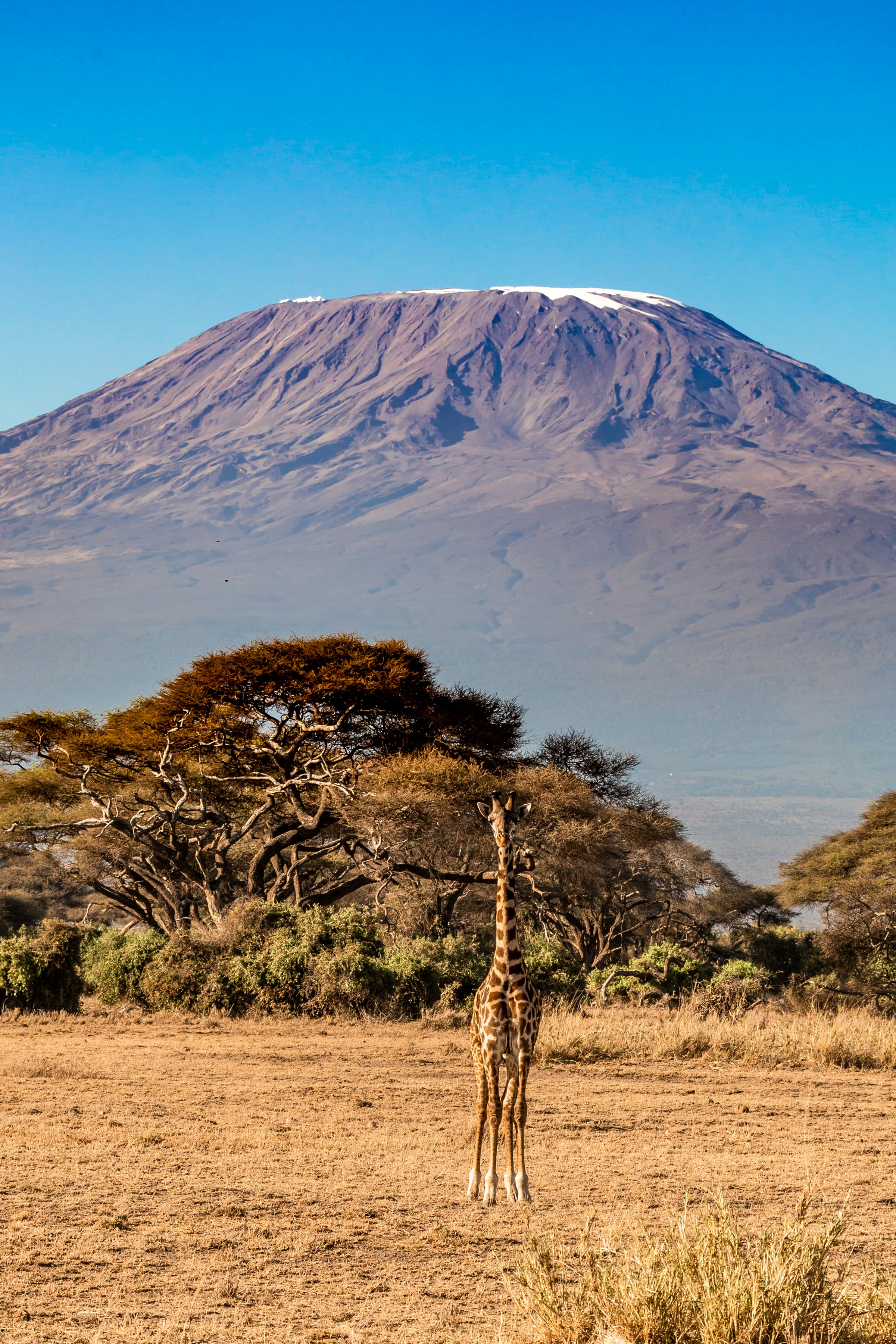 Lake Naivasha scenic safari