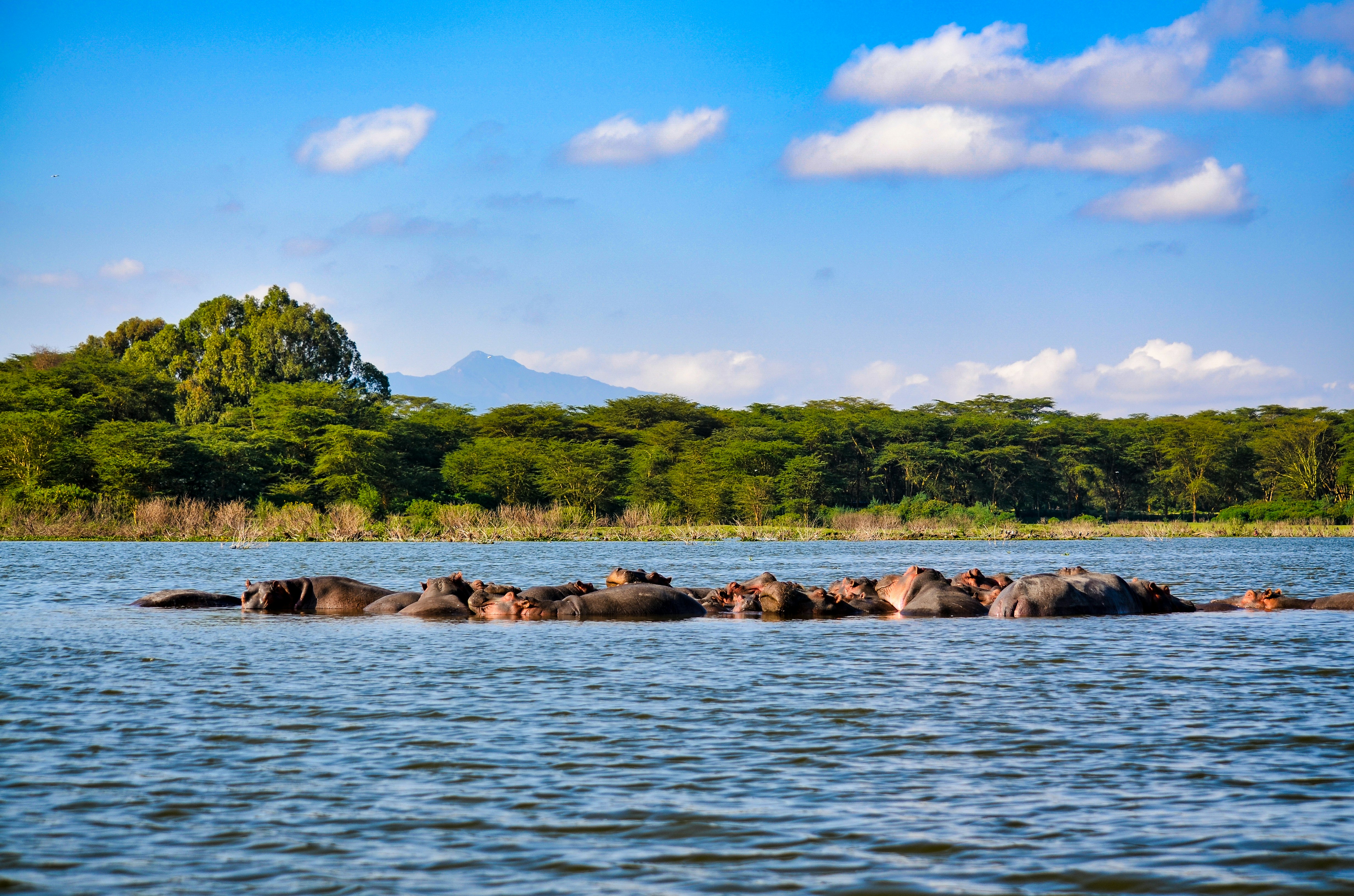 Lake Naivasha scenic day trip