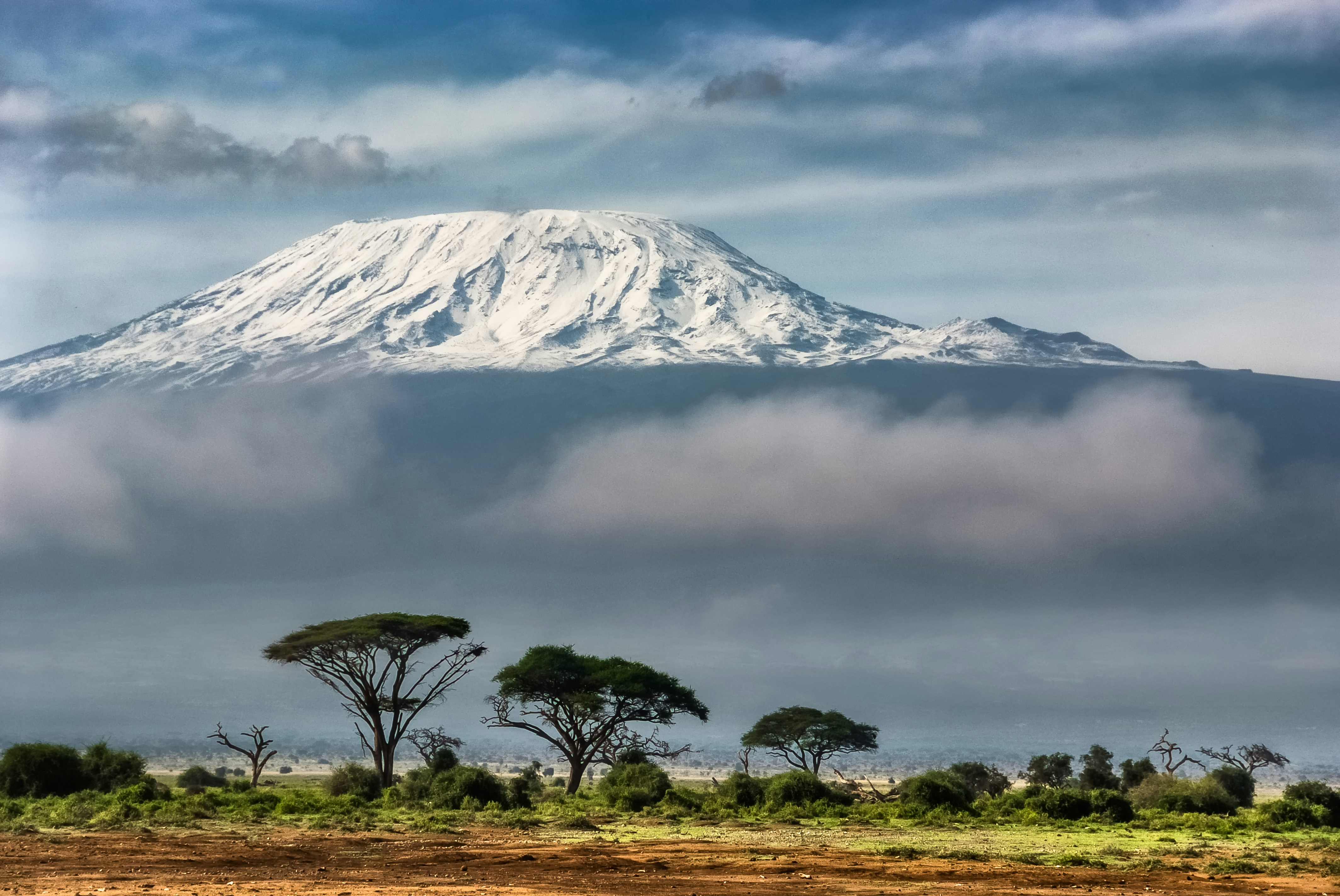 Game-drive road with Mount Kilimanjaro in the distance