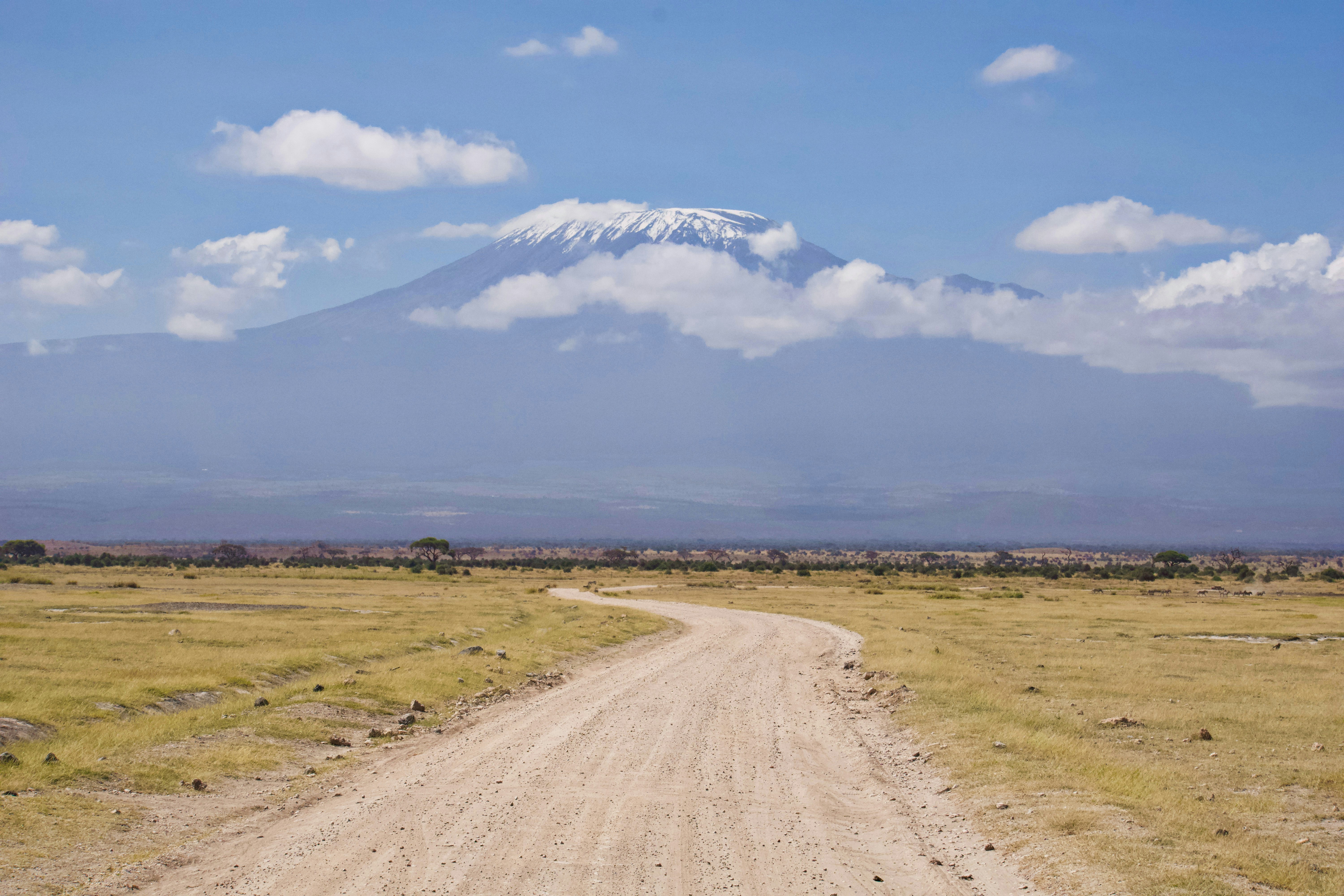 Amboseli National Park safari