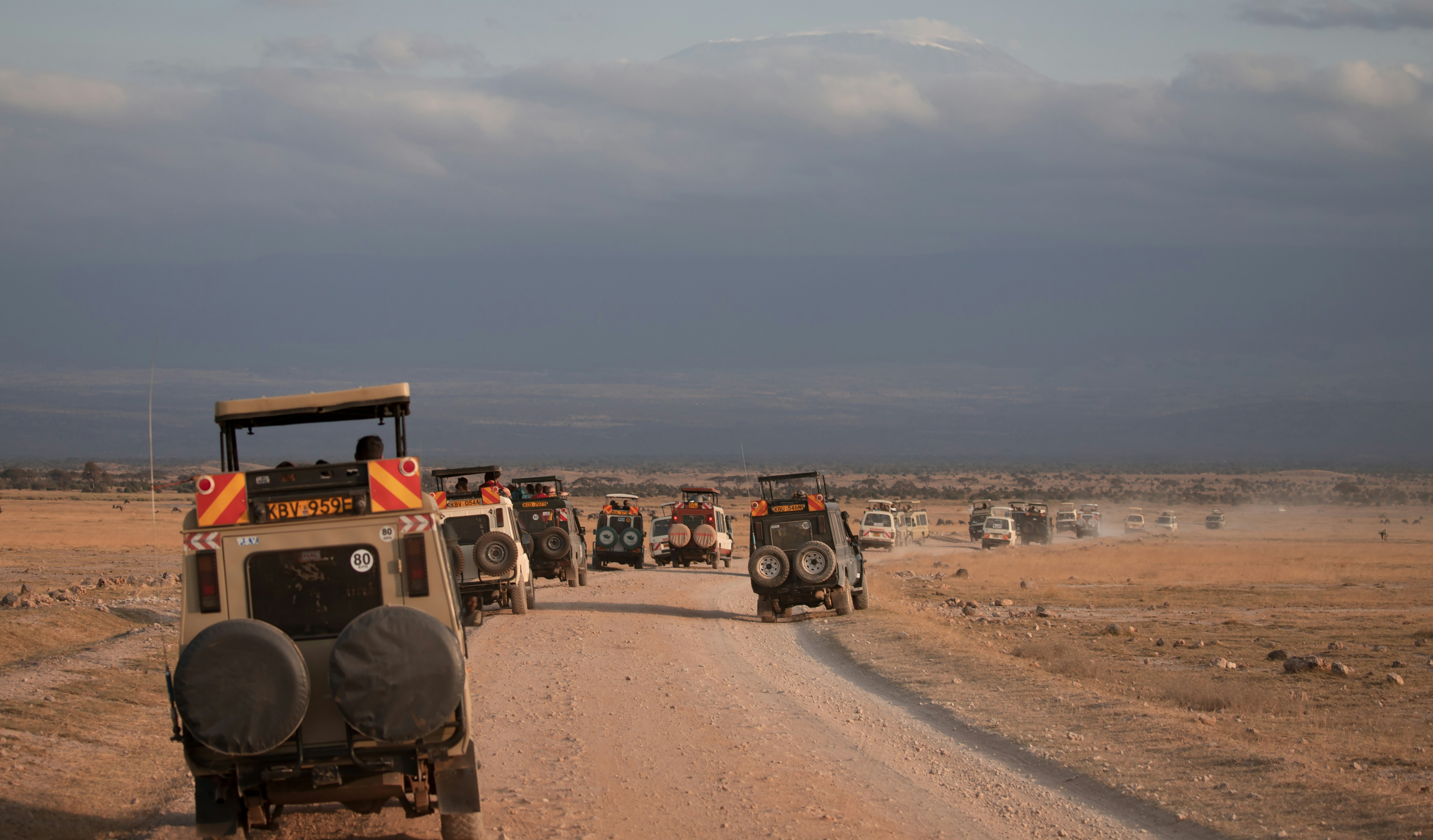 Safari jeeps driving a dusty track across open plains